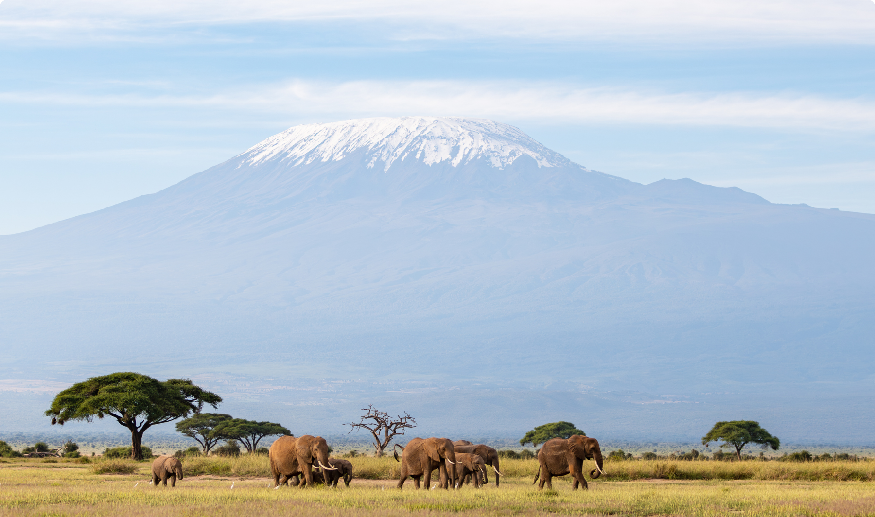 Amboseli National Park