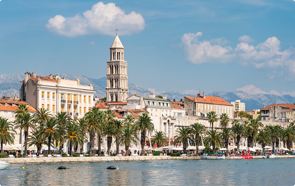 Waterfront view of palm trees and bell tower