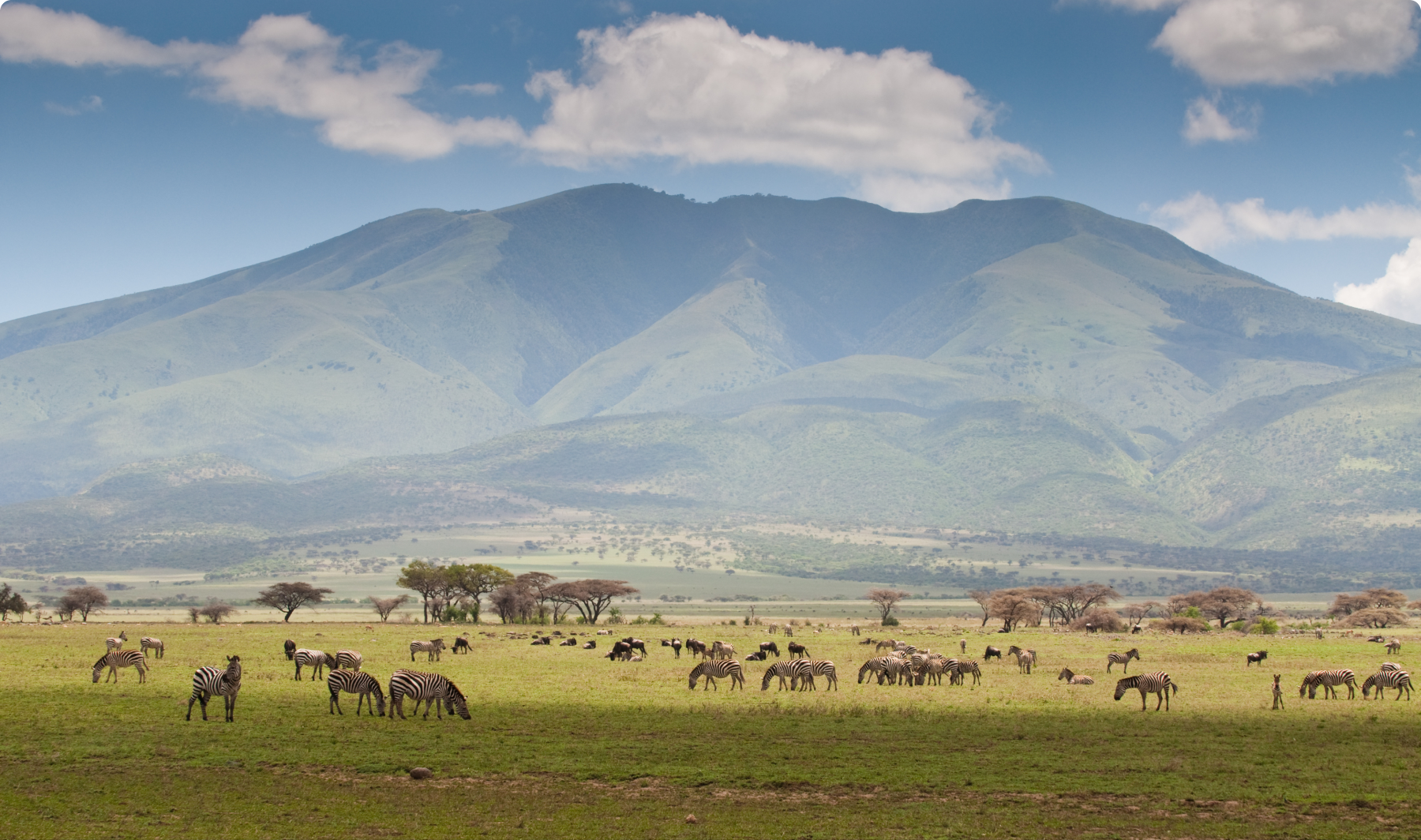 Serengeti National Park