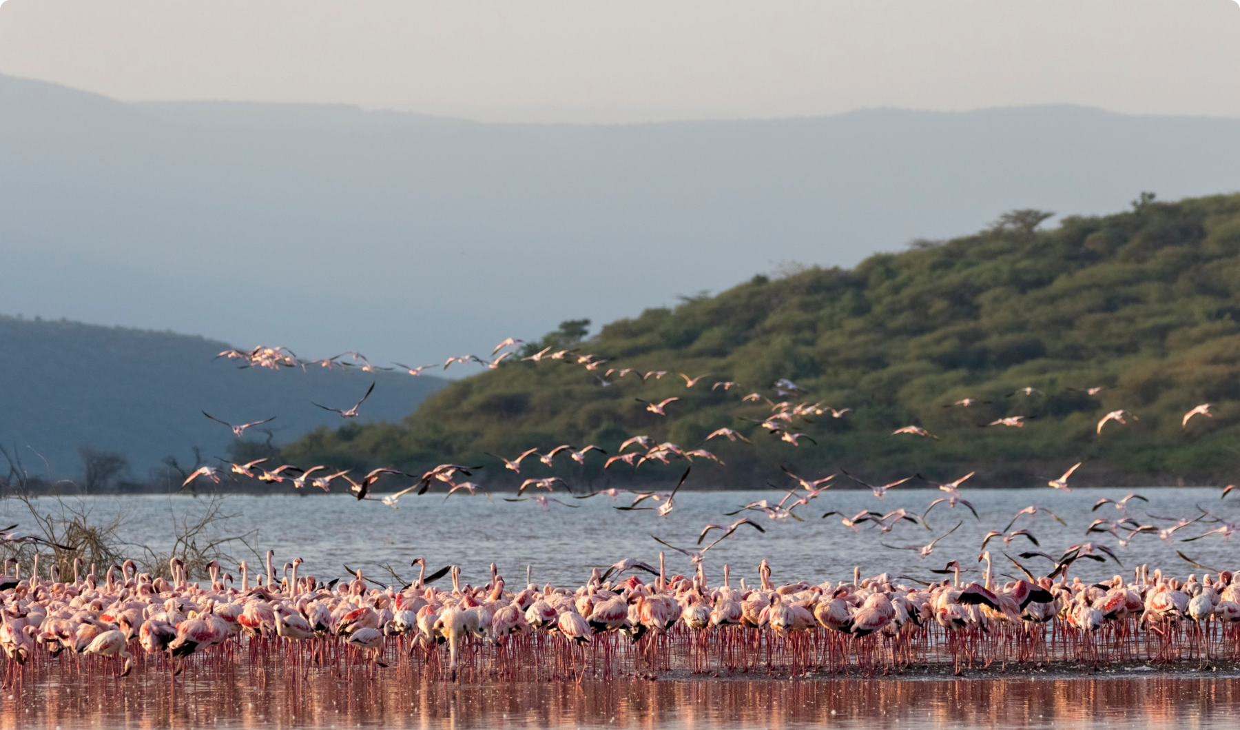 Lake Nakuru National Park
