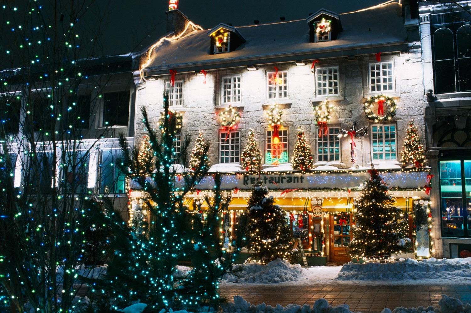 Building with Christmas trees and lights