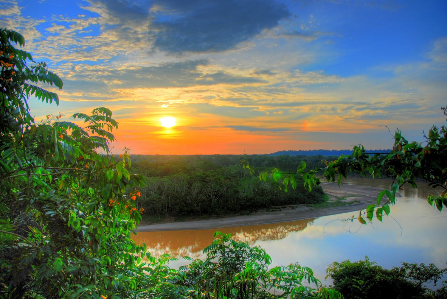 Jungle River Sunset
