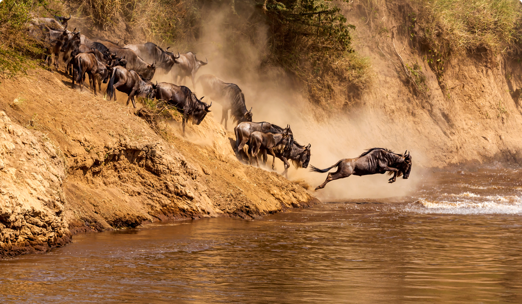 Great Migration
